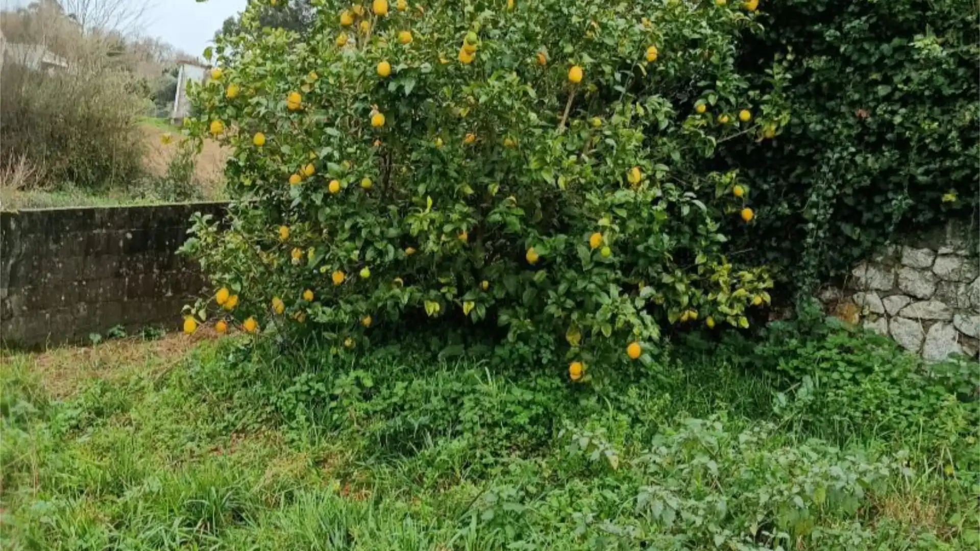 Piso en  Rúa Menciñeiros 9 - Foto 32