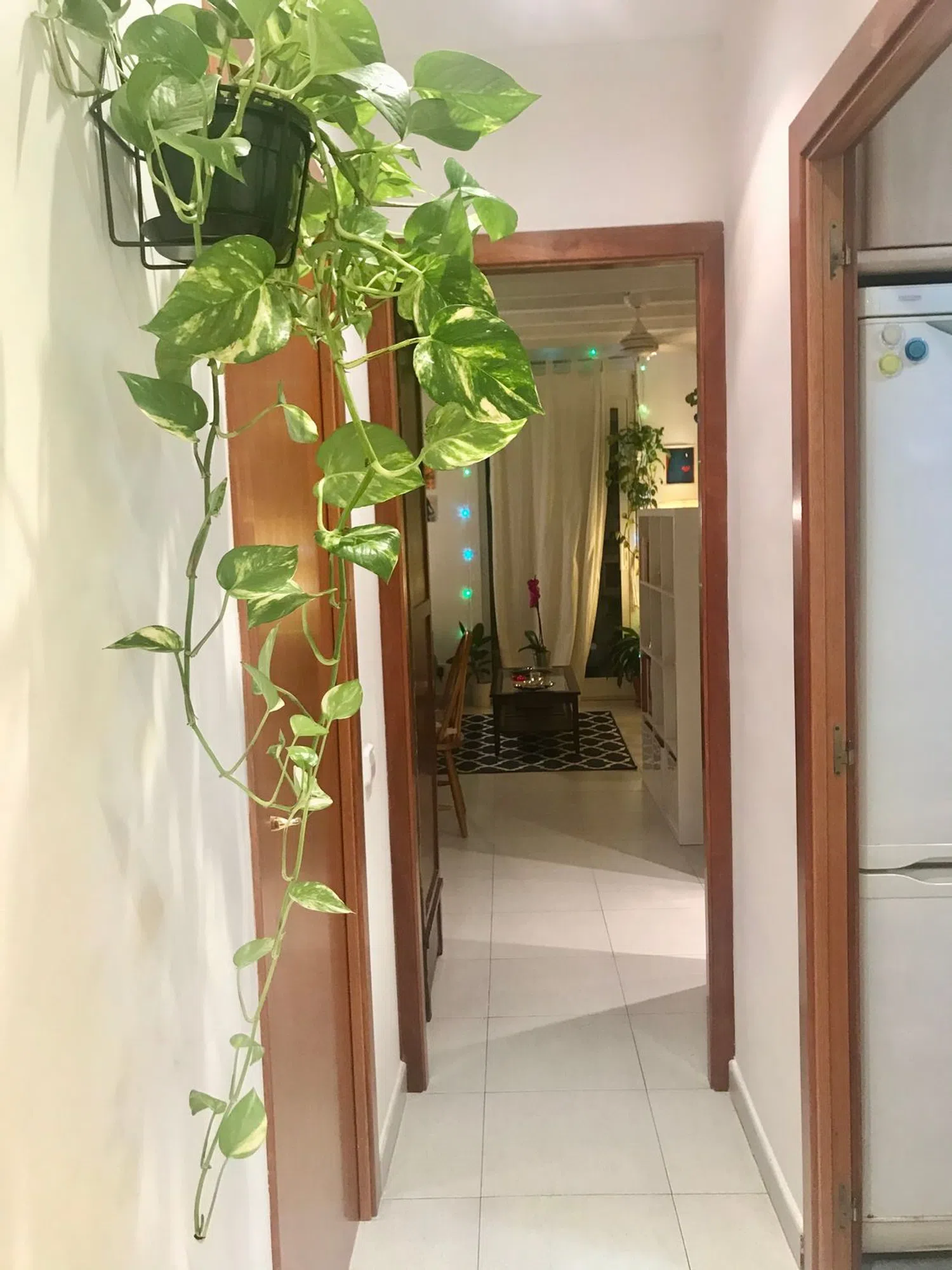 Estudio en calle del Marquès de Barberà, 26 - Foto 13