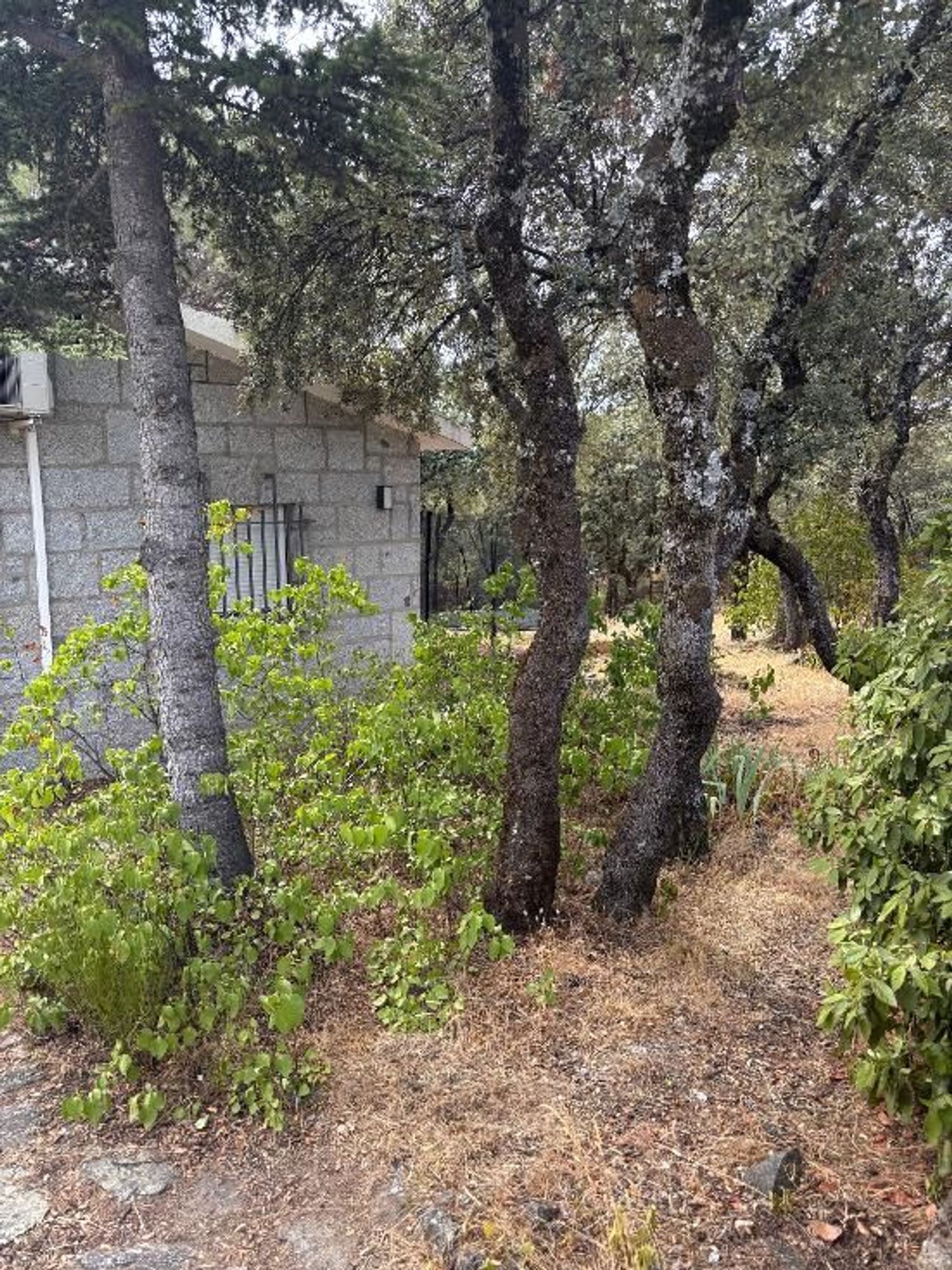 Casa o chalet independiente en Las Zorreras - Monte Encinar, Las Zorreras - Monte Encinar - Foto 4
