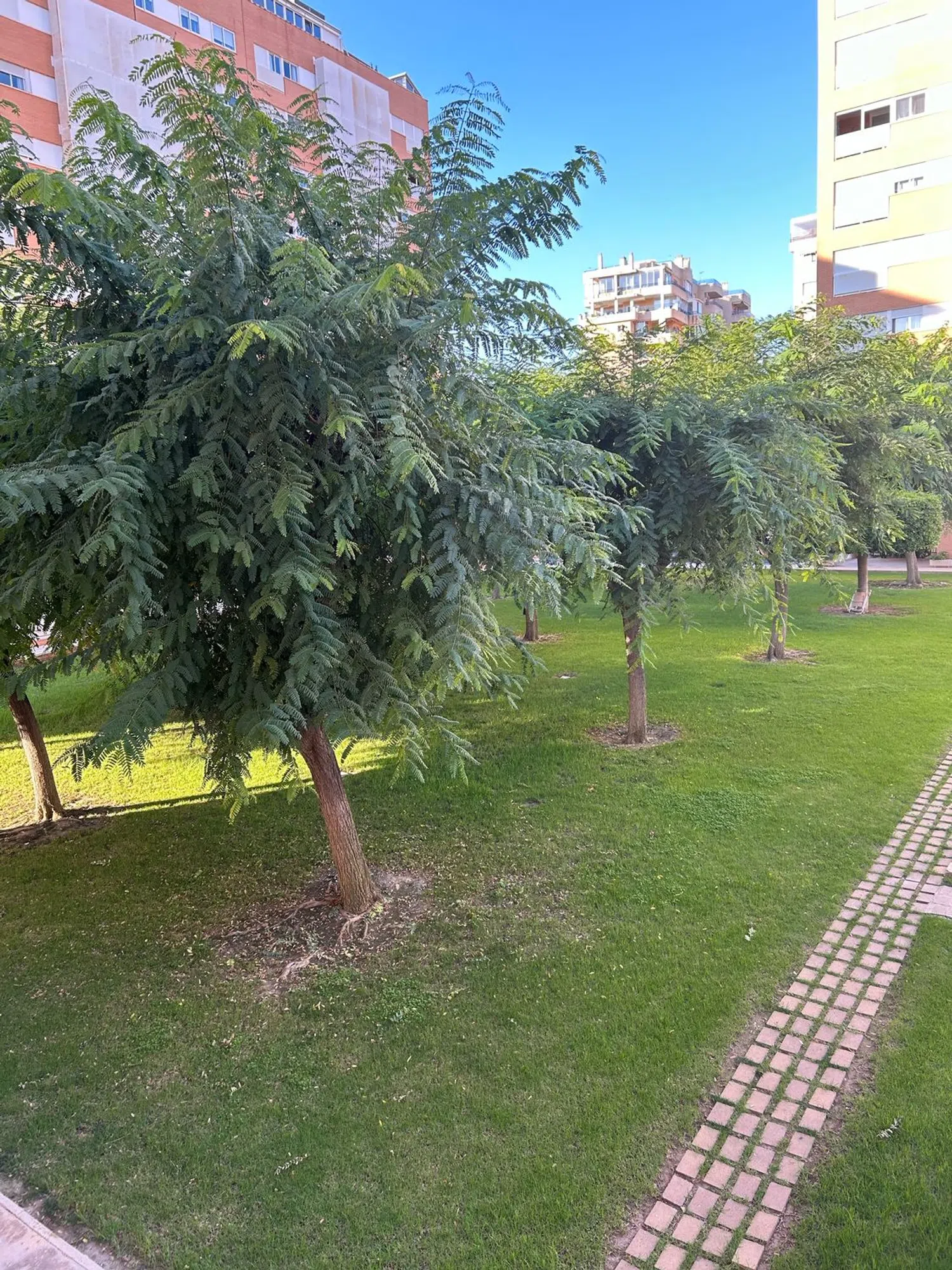 Piso en calle Josefina Pascual, 1 - Foto 11