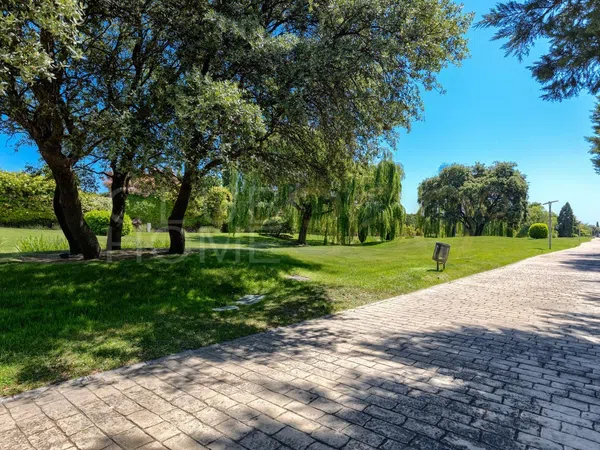 Casa o chalet independiente en Paseo del Río, 4, La Finca - Foto 53