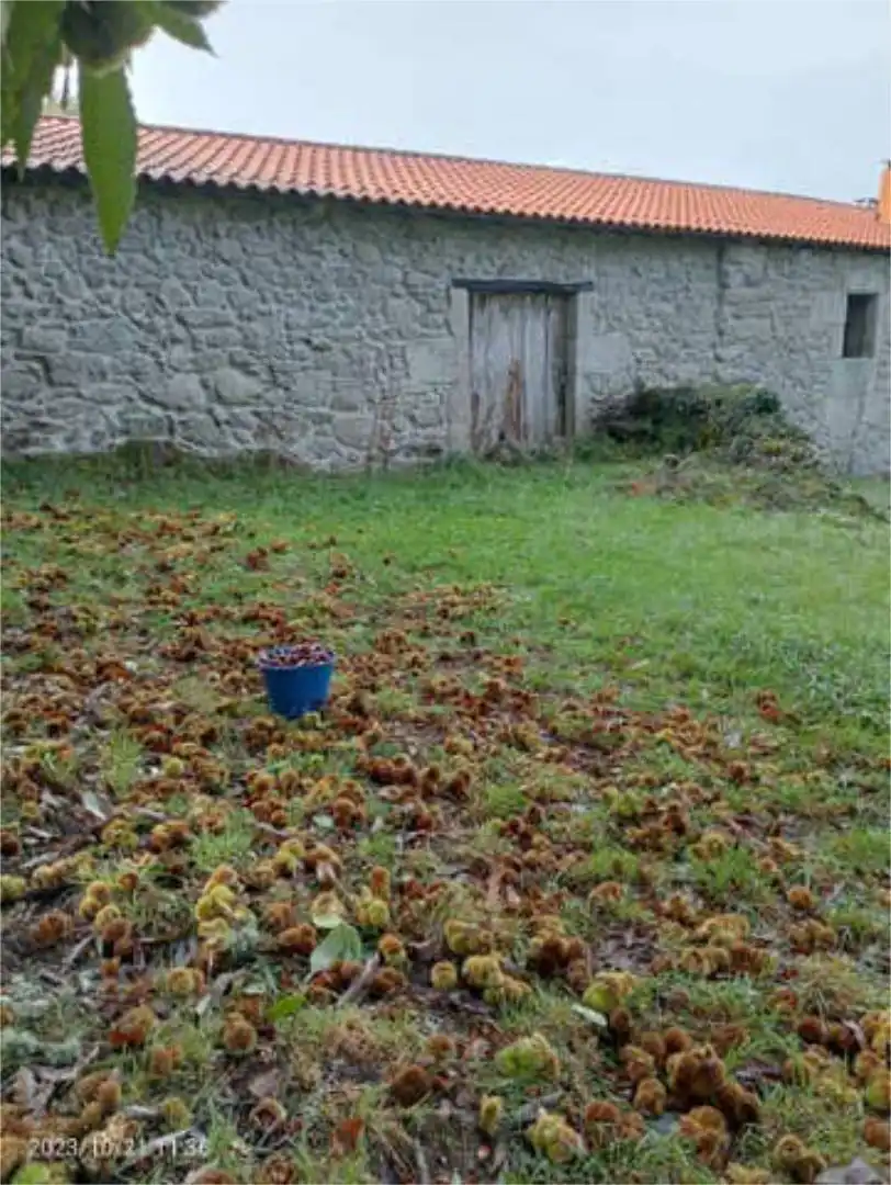 Chalet en O Saviñao, Vilatán, Lugo - Foto 6