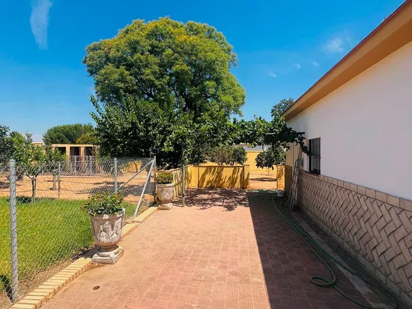 Casa o chalet independiente en Urbanizacion Buho Real D, 2 D - Foto 20