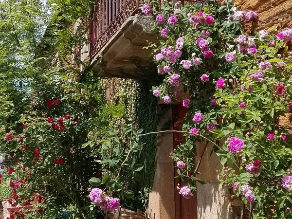 Palacio en Palacio en Monforte de Lemos - Foto 34
