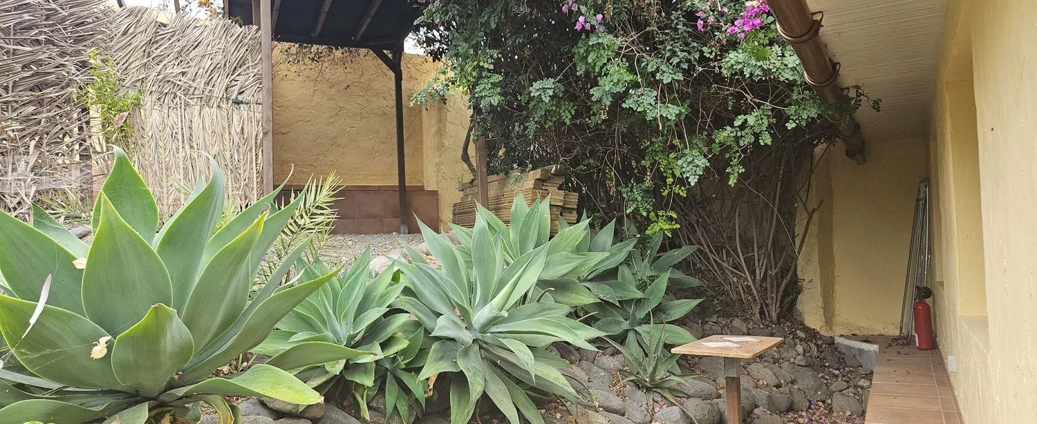 Finca rústica en camino a Cuevas del Monte, 13 - Foto 6