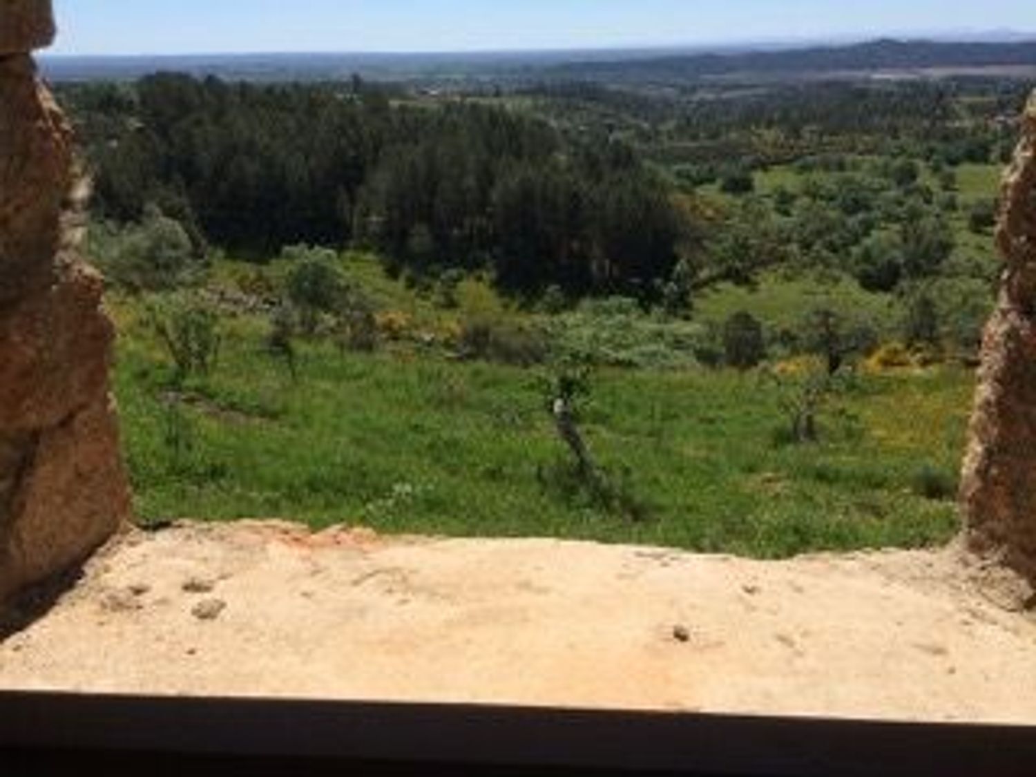 Finca rústica en Las Planas s/n - Foto 13