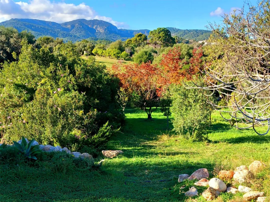 Piso en  Camí de la Vela 16 - Foto 12