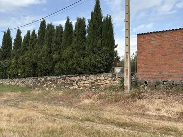 Finca rústica en  Calle Pozo Nuevo 8D - Foto 3