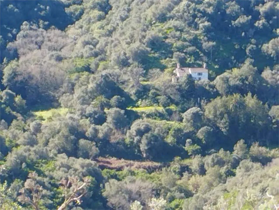 Chalet en EL LAURELAR - Foto 1