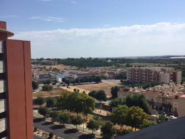 Piso en Calle Afrodita, 12, Jardines de Hércules - Foto 12