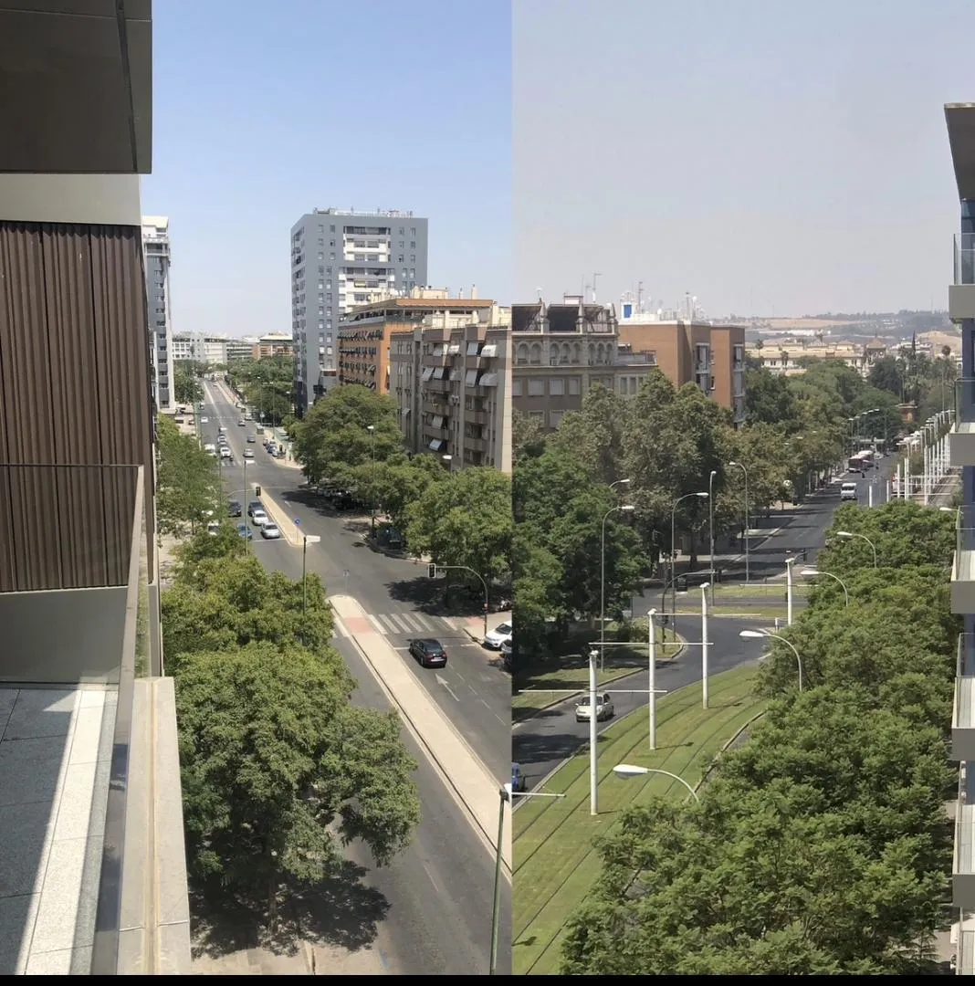 Piso en  Avenida de la Buhaira 30 - Foto 6