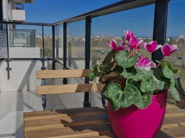 Piso en calle del Doctor Vicent Zaragoza, 95