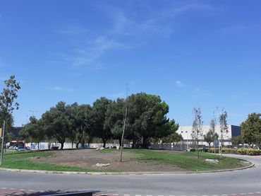 Nave Industrial en L'Hospitalet de Llobregat - Foto 5