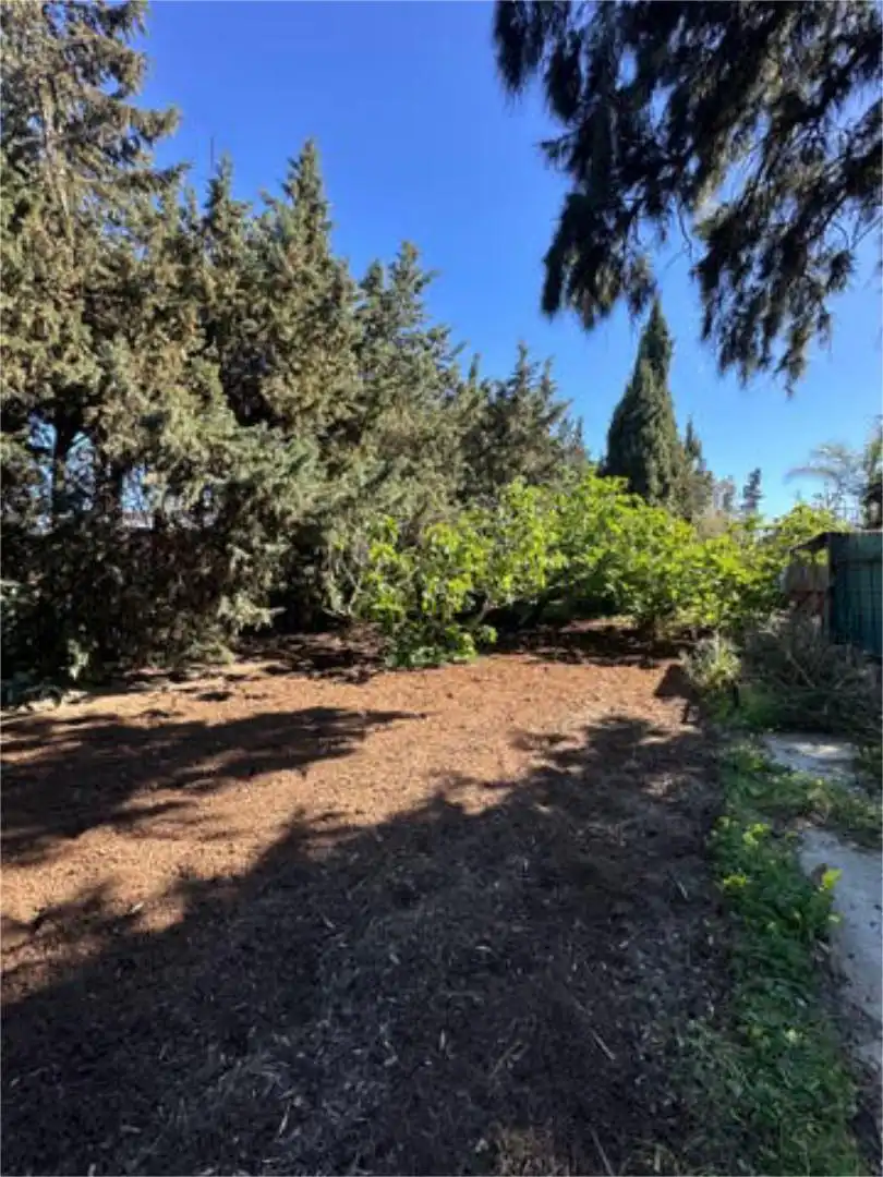 Casa adosada en Chiclana de la frontera - Foto 4