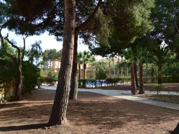 Chalet adosado en Calle Isla de Escombreras, 5, El Alamillo - Foto 18