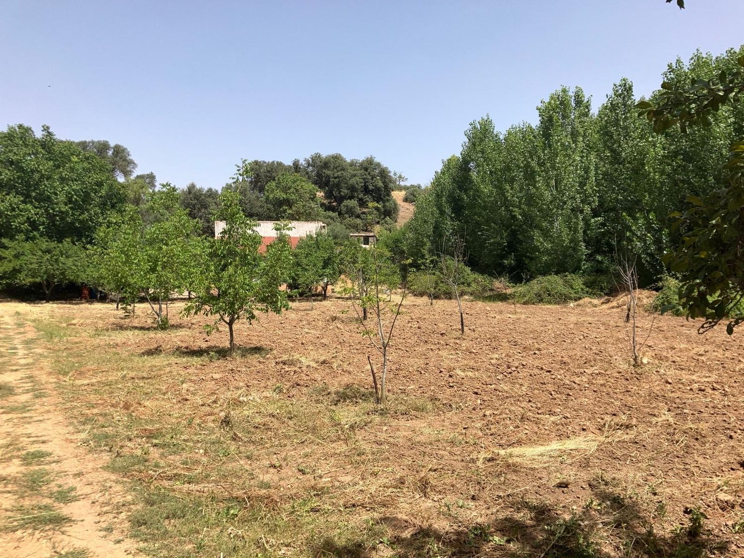 Cortijo en Cortijo en Camino de Azuer s/n - Foto 10