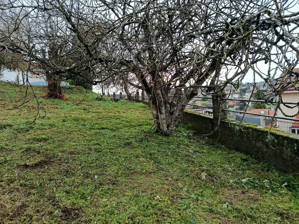 Casa independiente en calle Menciñeiros, 9 - Foto 31