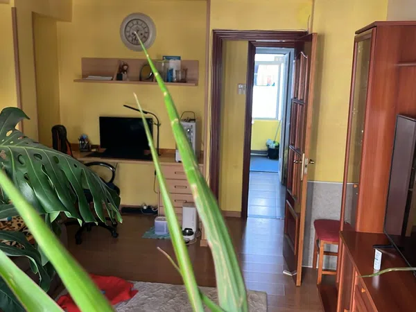 Piso en Calle Manuel Ángel Ferrer, 2, San José, San José - Foto 1