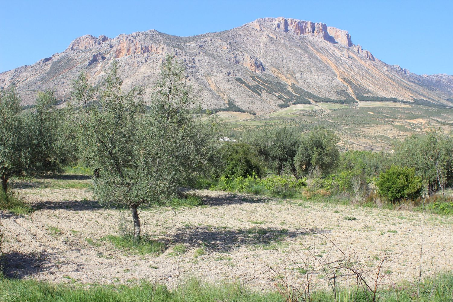 Cortijo en Calle Solana, 12 - Foto 3