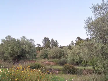 Finca rústica en  Camí Tossal Roig 30 - Foto 2