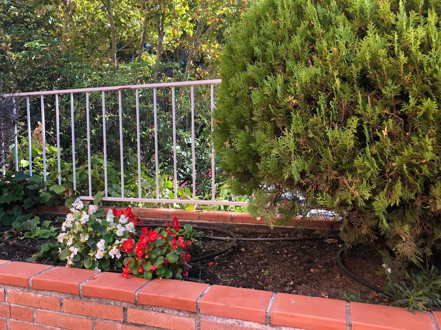 Piso en calle de la Costa Brava, 30 - Foto 25