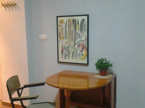 Estudio en calle Murillo, 10 - Foto 2