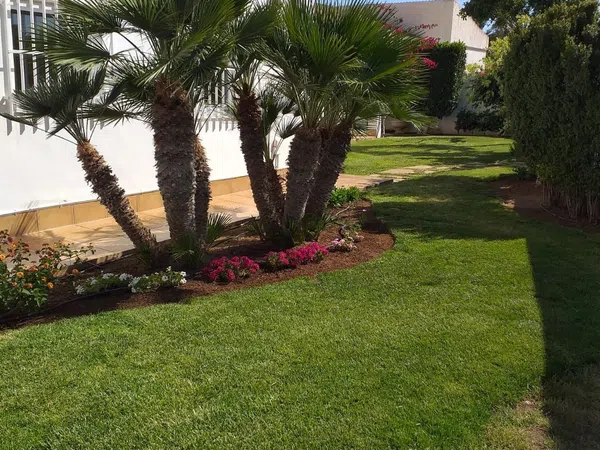 Casa o chalet independiente en Avenida de luxor, 83, La Cañada - Costacabana - Loma Cabrera, La Cañada - Costacabana - Loma Cabrera - Foto 26