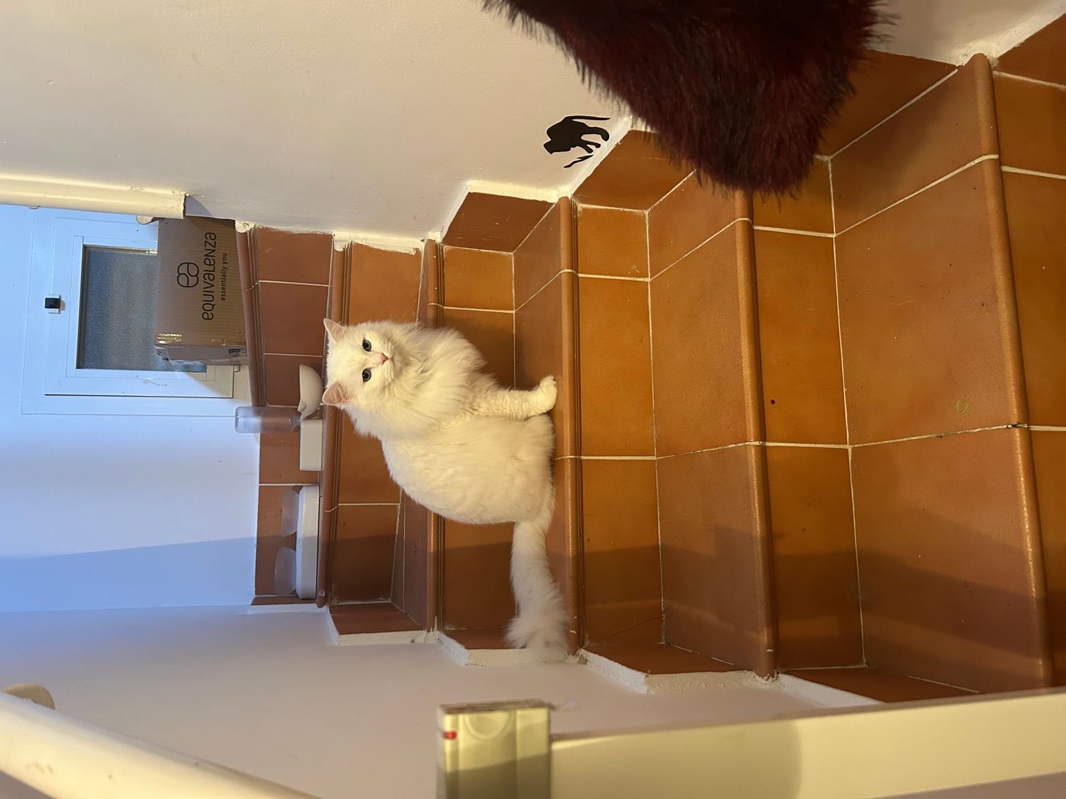 Casa independiente en avenida de Chiloeches, 45 - Foto 31