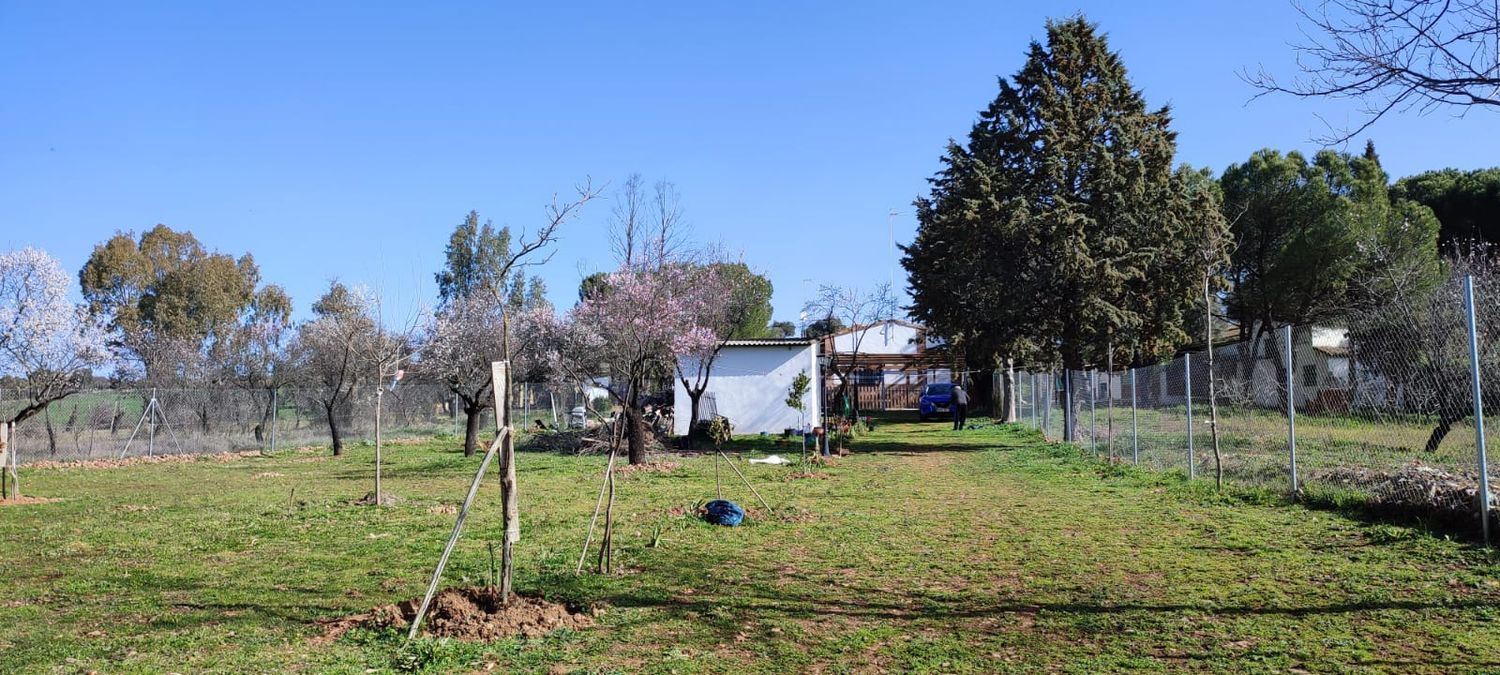 Finca rústica en Cuesta del río, 33 - Foto 6