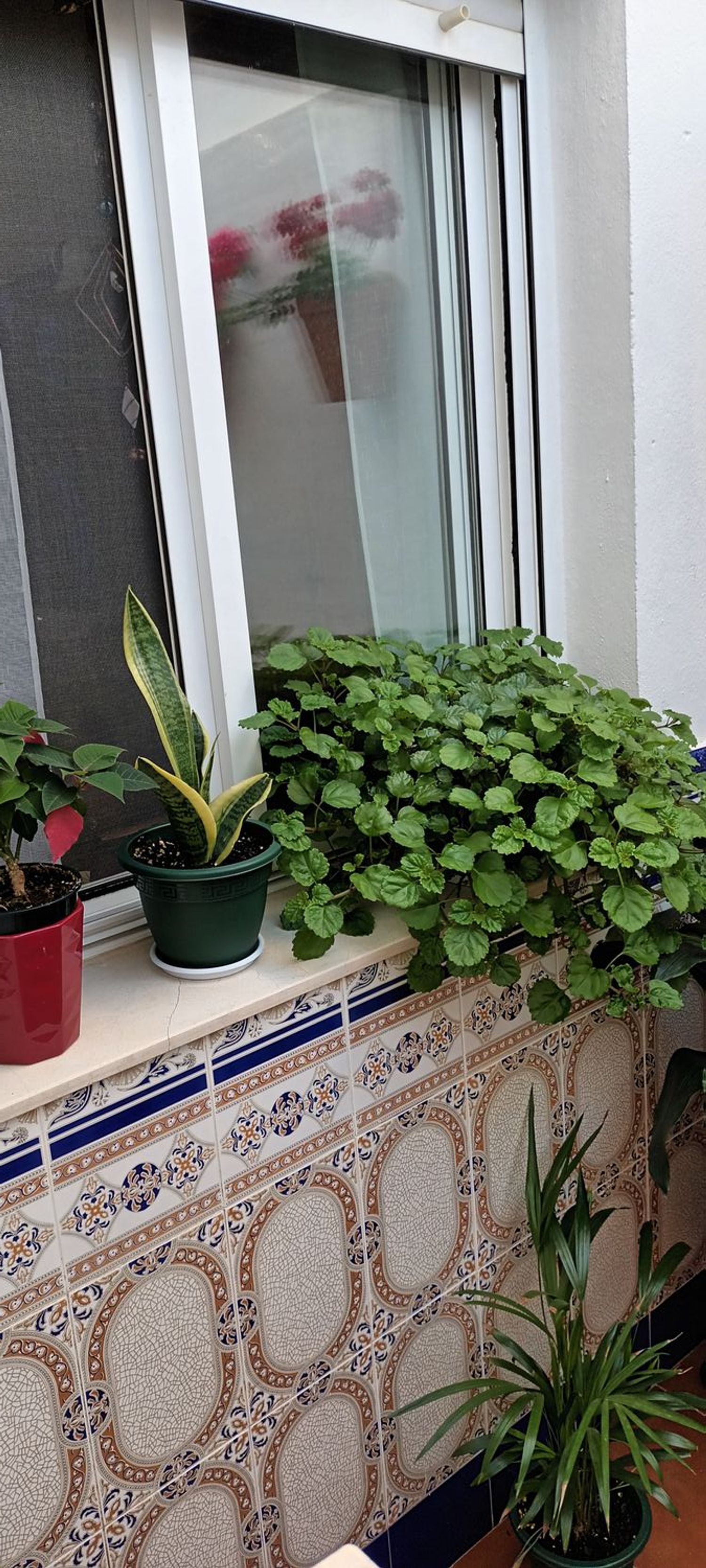 Chalet adosado en Calle Mendez Nuñez, 29 - Foto 14