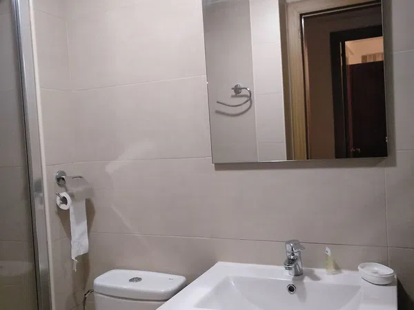 Piso en Calle Pérez Herrasti, 3, Salesas - Foto 1