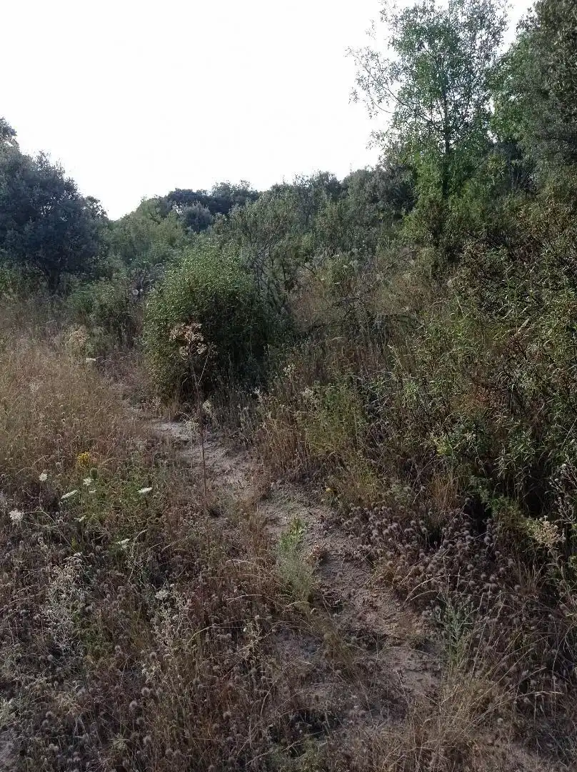 Finca rústica en  Diseminado Presa el Villar 1A - Foto 7