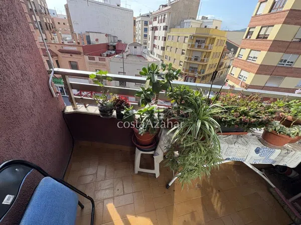 Piso en Zona Plaza Donoso Cortés - Avda Magdalena, Zona Plaza Donoso Cortés - Avda Magdalena - Foto 3