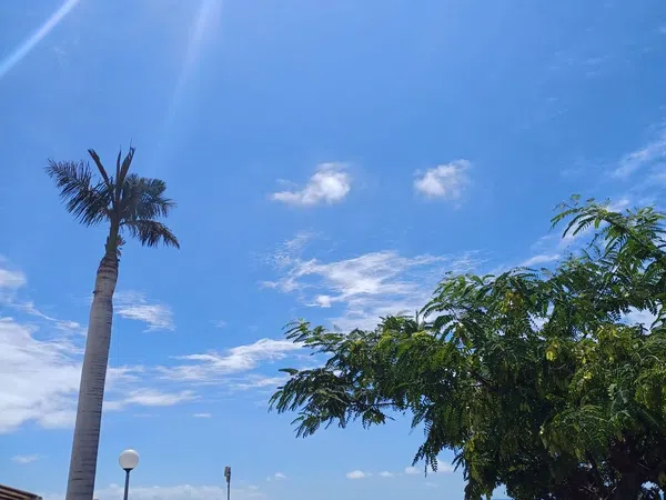 Piso en Calle Albaicín, 15, Taurito-Playa de Mogán, Taurito-Playa de Mogán - Foto 4