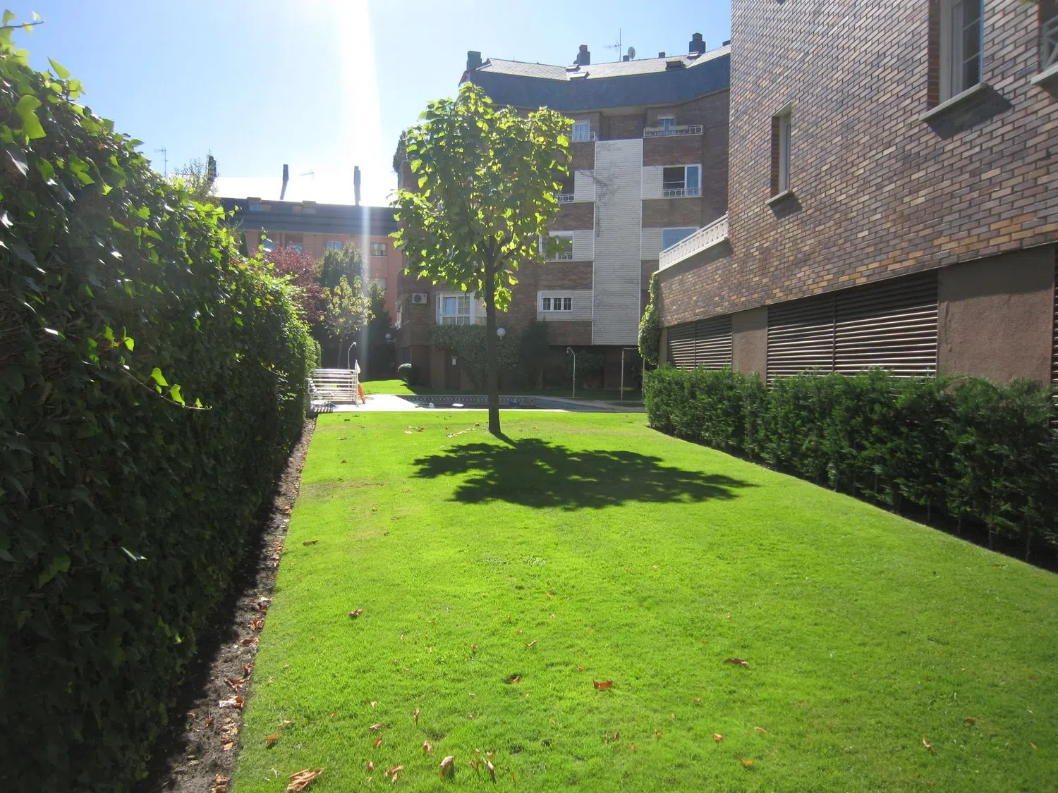 Piso en carretera de Pozuelo, 39 - Foto 3