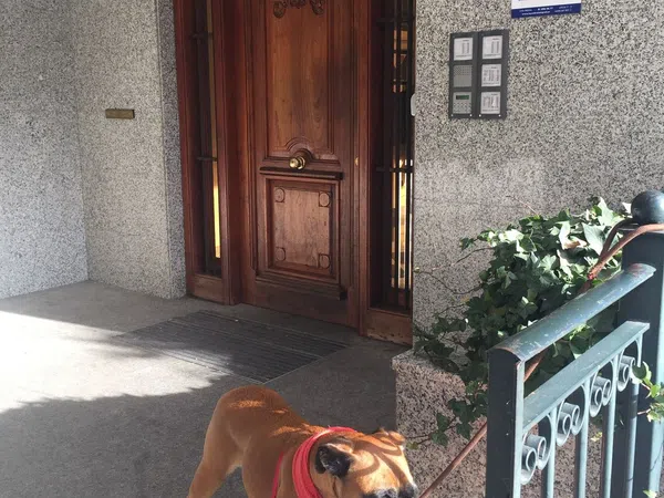 Ático en Cañada nueva, 36 - Foto 18