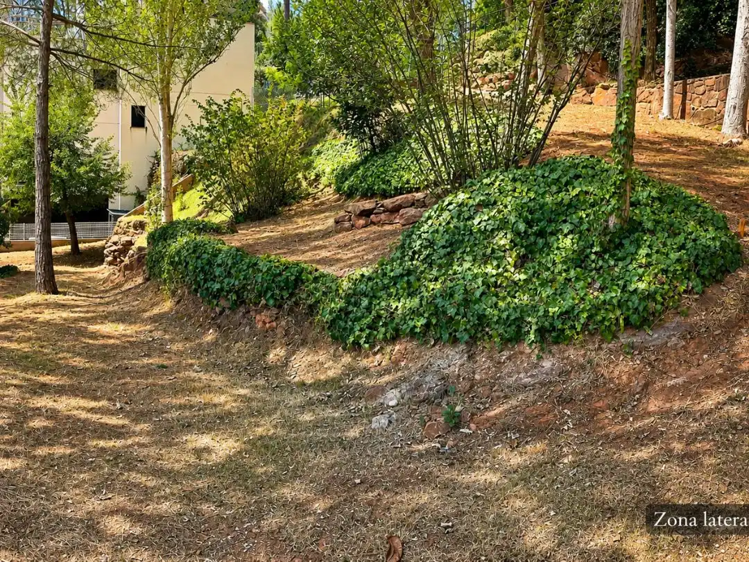 Terreno Residencial en  Carrer del Xarel·lo 43 - Foto 2