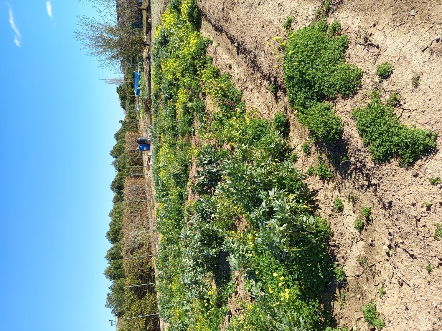 Finca rústica en plaza de Sant Isidre, 15 - Foto 26