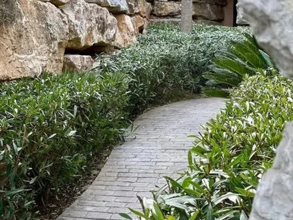 Ático en Calle Miguel de Cervantes, 1, La Mairena, La Mairena - Foto 20