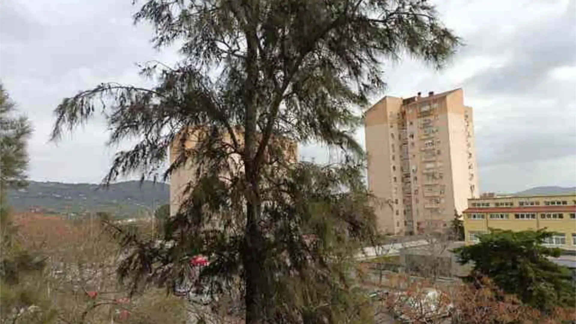 Piso en Charca Musia - Foto 7