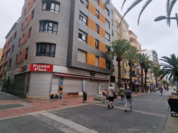 Piso en Calle Secretario Artiles, 68, Santa Catalina - Canteras - Foto 9