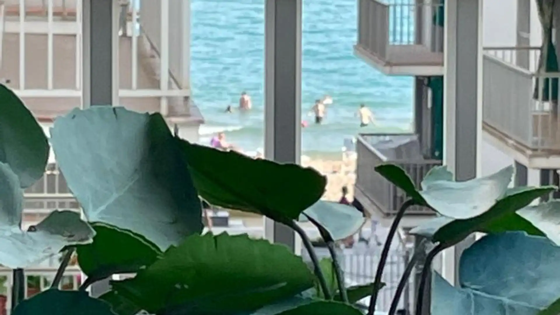 Piso en  Passeig Marítim de Sant Joan de Déu 34 - Foto 7