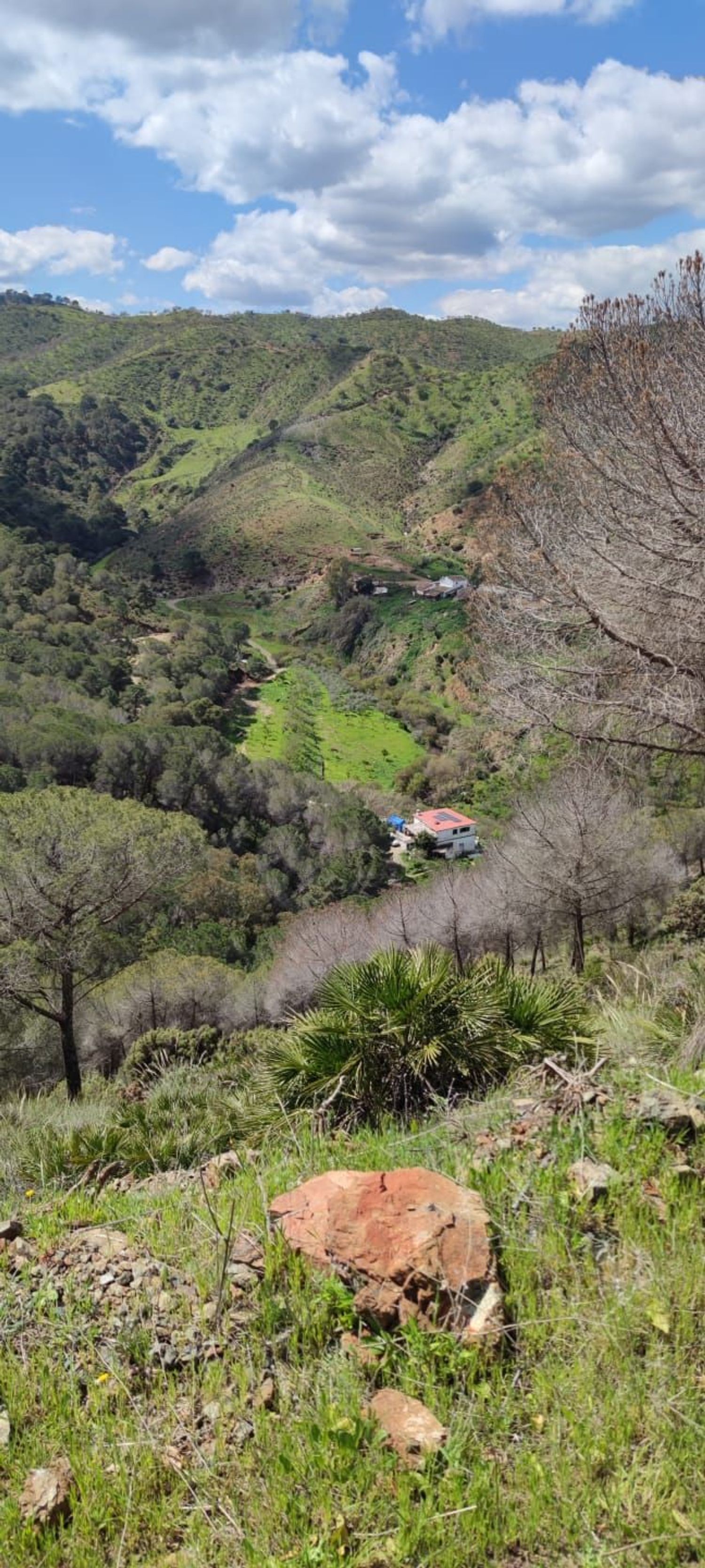 Casa o chalet independiente en Via Sin Nombre Los Guaperos, 1 - Foto 7