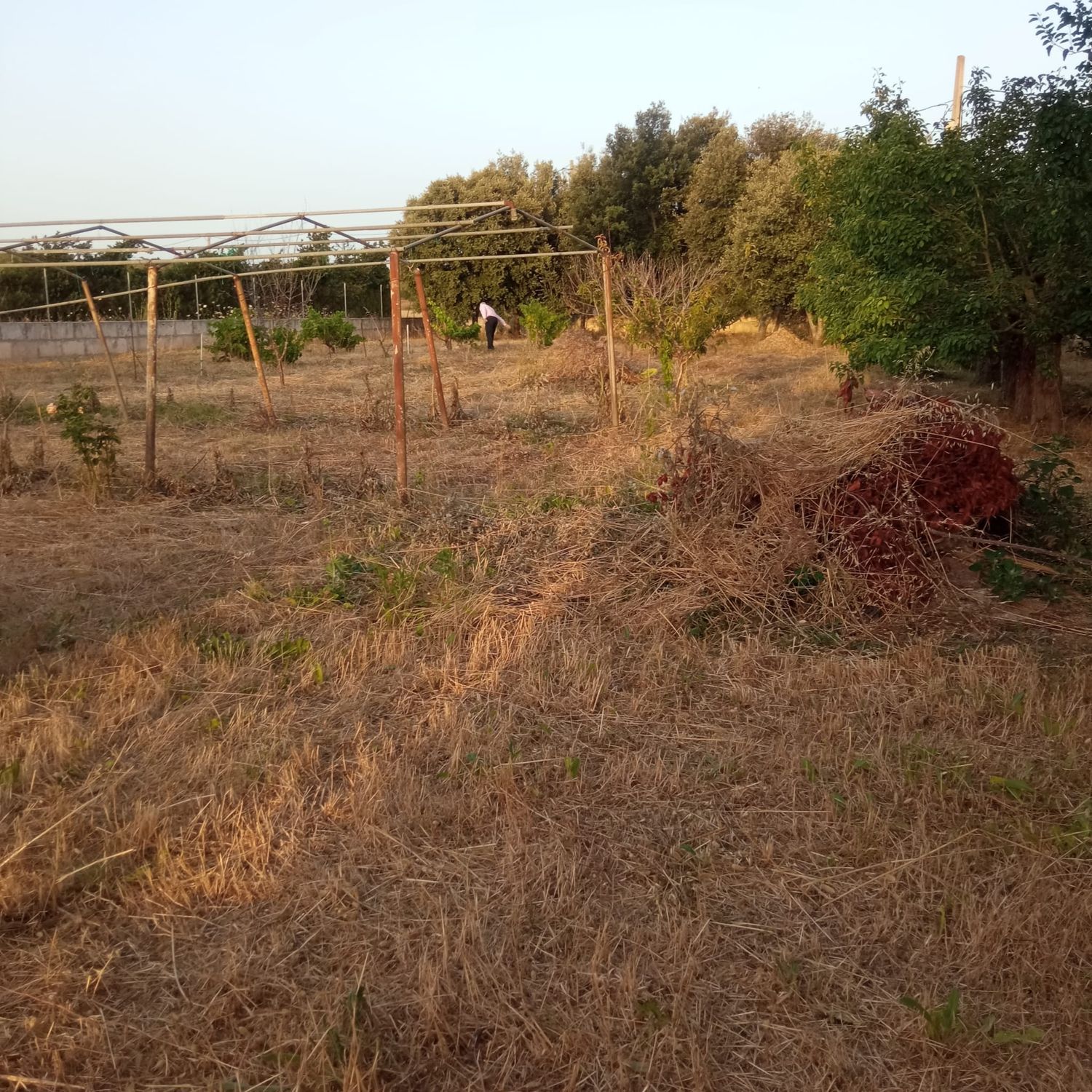 Finca rústica en Ma-3440 s/n, Zona periurbana, Zona periurbana - Foto 2