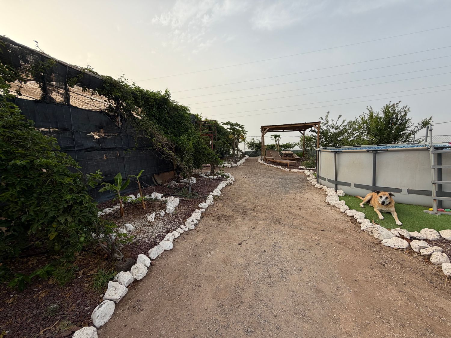 Casa o chalet independiente en Llano blanco, 40, Aldea Blanca-Las Zocas, Aldea Blanca-Las Zocas - Foto 6