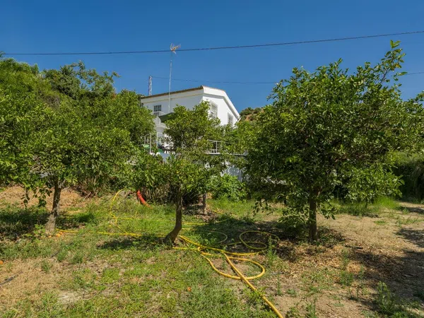 Casa o chalet independiente en Carril de Tolox a Golondrina, 1 - Foto 18