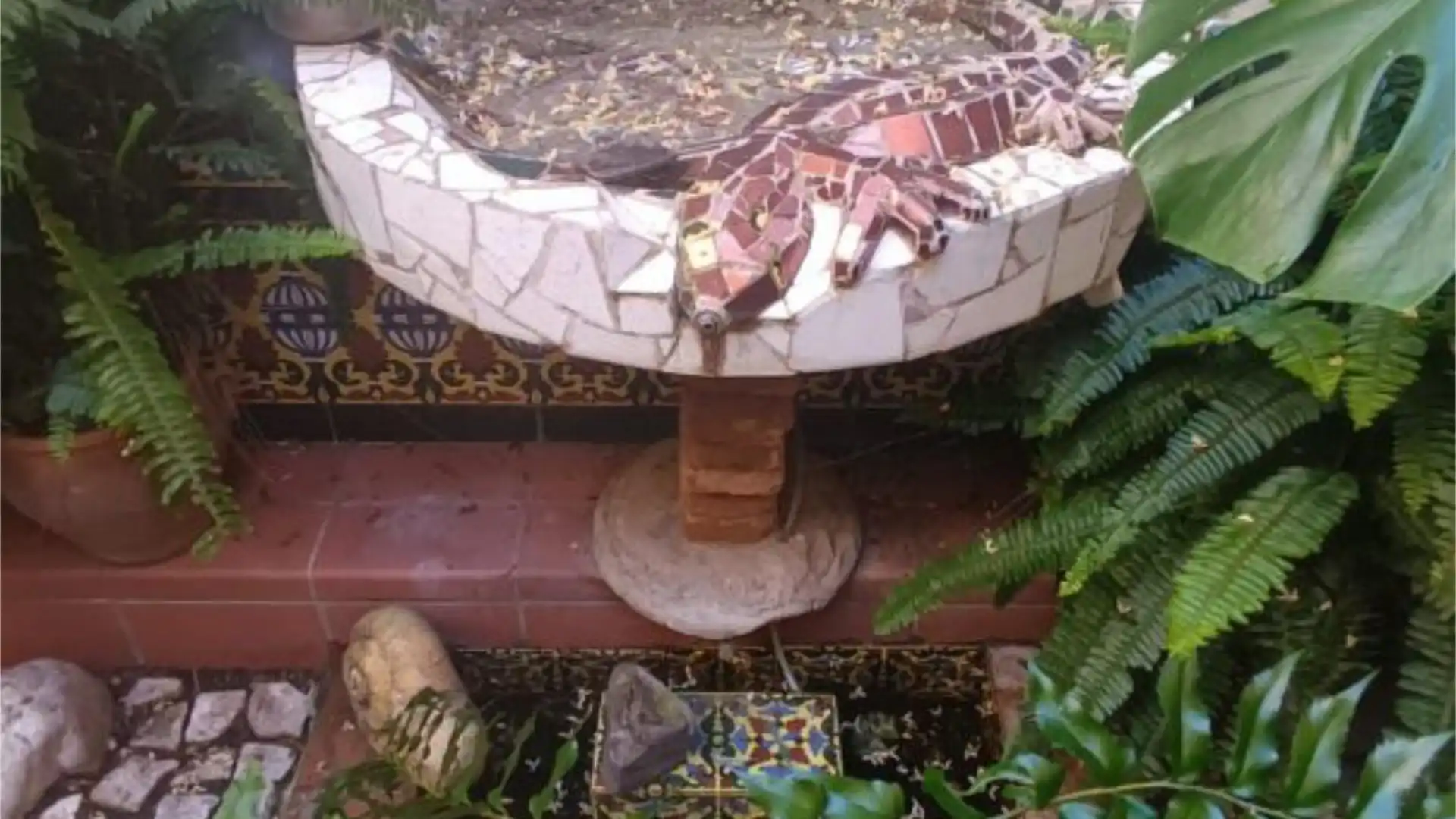 Casa adosada en  Calle los Polancos 11 - Foto 34