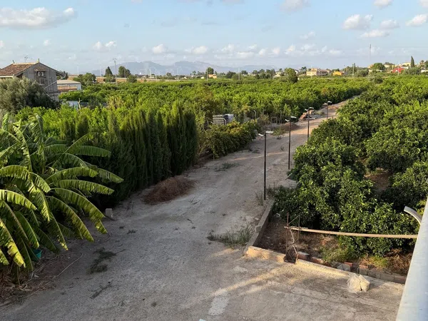Finca rústica en Camino de los Plazas, 16, San José de la Vega - Foto 21