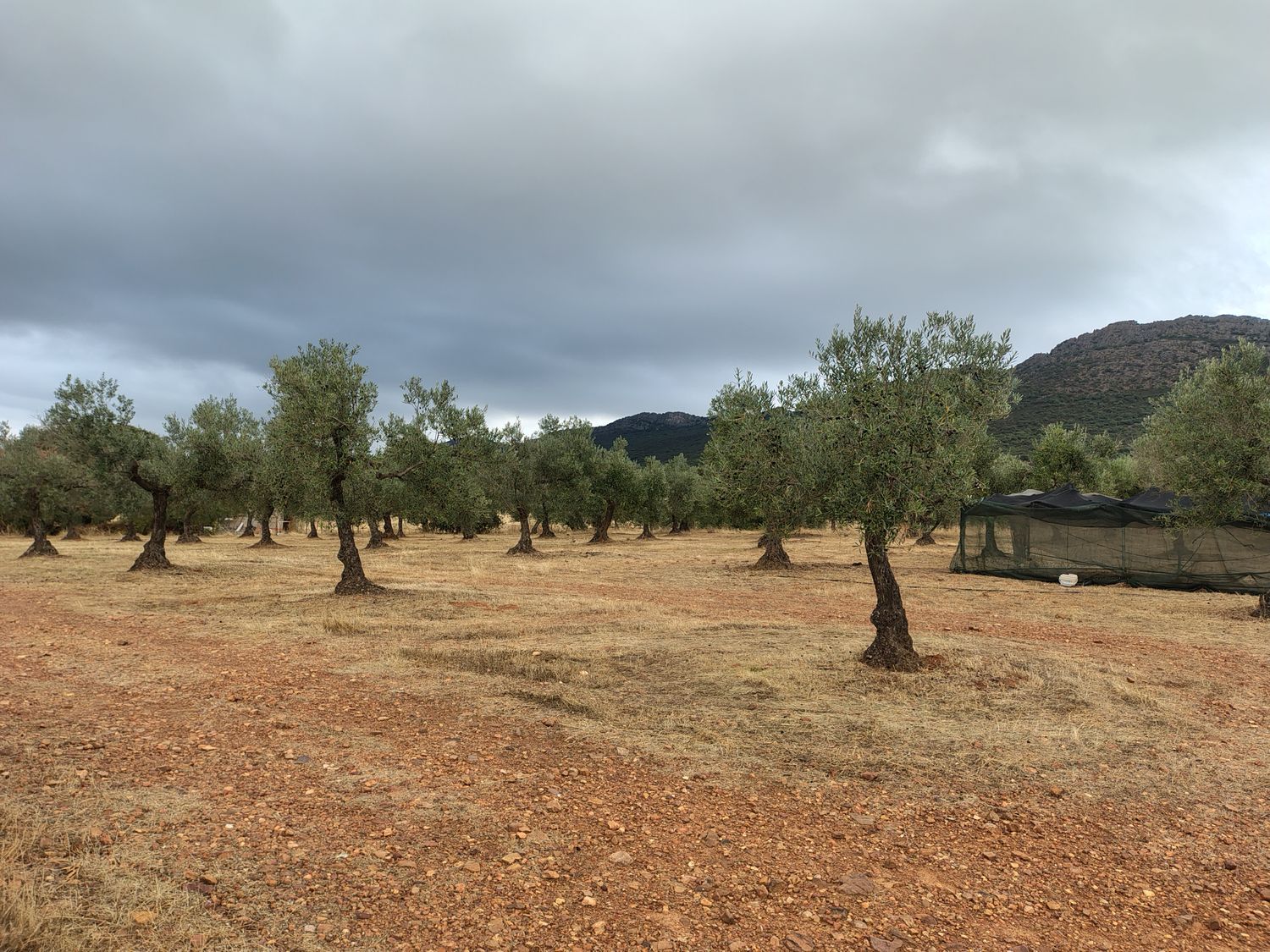 Cortijo en Cortijo en Ex-323 s/n - Foto 29