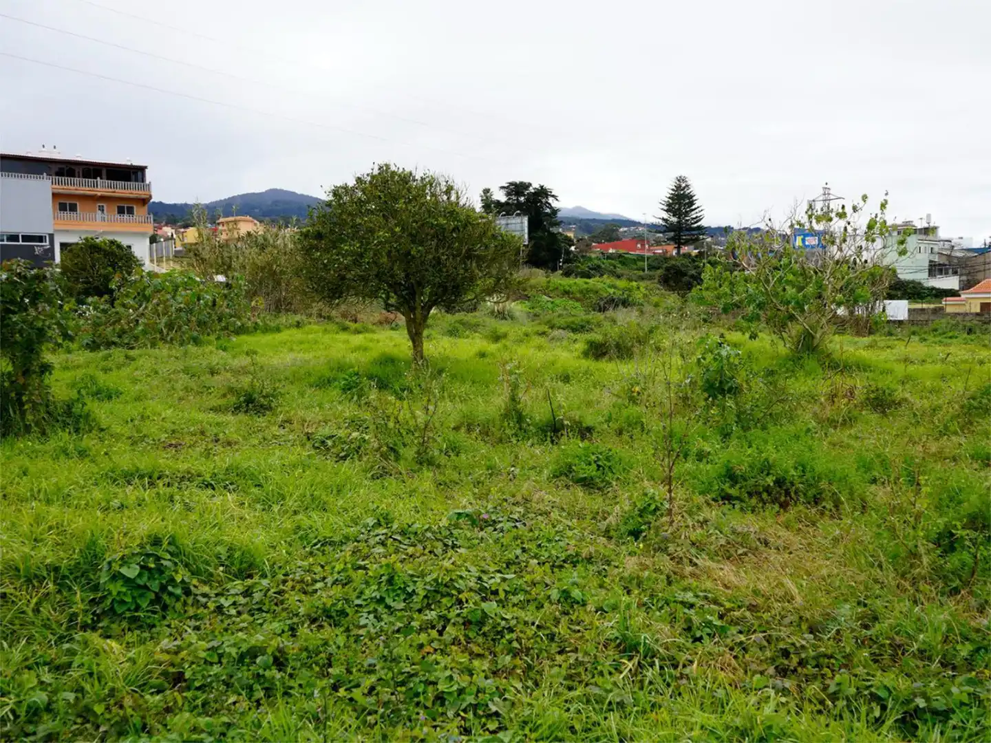 Terreno Industrial en  Calle la Trilladora 2 - Foto 8